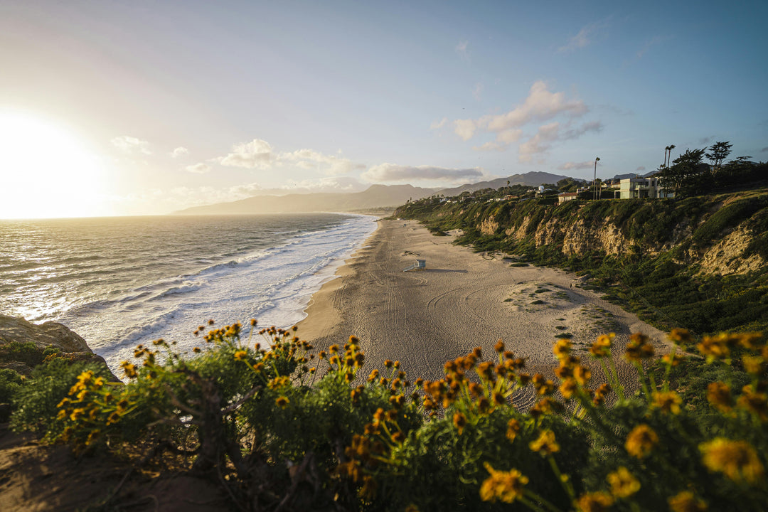 Surf, Style, and Spirit: California Surf Day