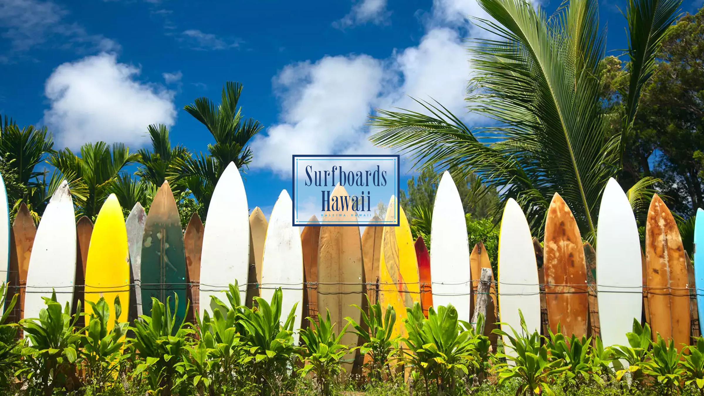 Surfboards Hawaii