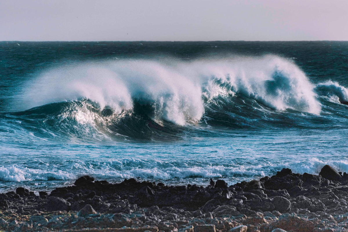 Last Wave Originals Ladies Surfwear